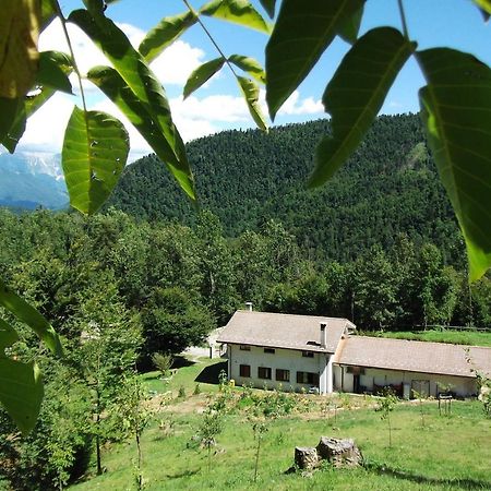 Bosco Delle Rune ..Un Angolo Di Paradiso Platischis Exteriör bild