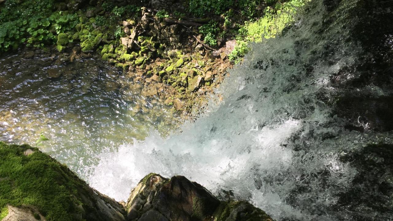 Bosco Delle Rune ..Un Angolo Di Paradiso Platischis Exteriör bild