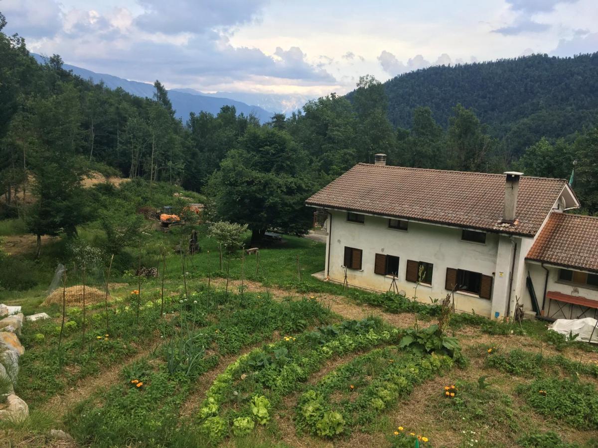 Bosco Delle Rune ..Un Angolo Di Paradiso Platischis Exteriör bild