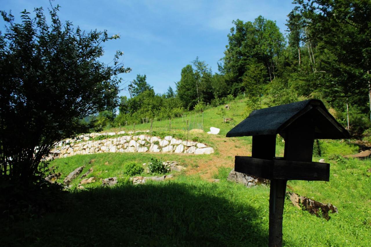 Bosco Delle Rune ..Un Angolo Di Paradiso Platischis Exteriör bild